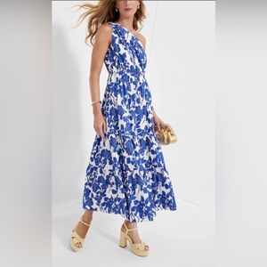 Tuckernuck Hyacinth House Sybil Maxi Dress‎ Blue Floral One Shoulder XXS NEW